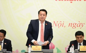 Xử nghiêm hành vi đưa thông tin sai sự thật, bôi nhọ ứng cử viên đại biểu Quốc hội