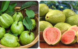 Những người không nên ăn ổi