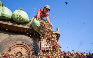 Việt Nam đón tin vui từ Campuchia