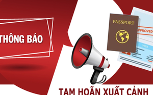 18 Giám đốc, Chủ tịch các công ty sau bị tạm hoãn xuất cảnh