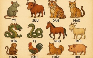 Từ mồng 1 tháng 2 âm có 3 con giáp được cát tinh hỗ trợ, tiền vào như nước, cuộc sống viên mãn