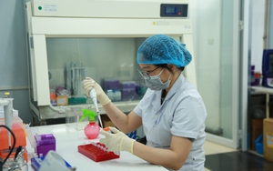 Thấy cháu không giống bên nội, cả nhà đưa đi xét nghiệm ADN 2 lần: “Sốc” với sự thật không thể thay đổi