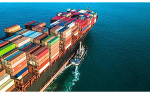 Việt Nam đón tin vui cùng lúc từ Mỹ và Thái Lan