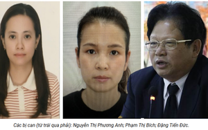 Chân dung 13 người bị khởi tố cùng ông Đào Hữu Huyền - Chủ tịch HĐQT Tập đoàn Hóa chất Đức Giang