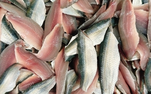 10 loại cá bình dân nhưng bổ ngang cá hồi, ra chợ là mua được