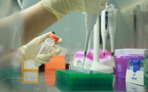 Lật mở thân phận sau hàng chục năm: Xét nghiệm ADN giúp Việt kiều tìm lại nguồn cội