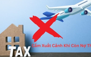 Tạm hoãn xuất cảnh 20 Giám đốc, Chủ hộ kinh doanh