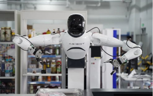 Phát hiện hàng loạt robot cường độ cao trong các nhà máy, có thể đi bộ 50.000 bước/ngày