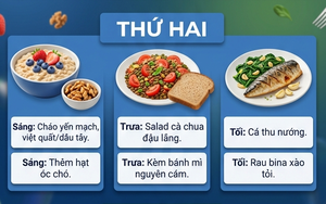 Bí mật chữa lành Thân – Tâm – Trí từ Địa Trung Hải: Người càng bận rộn càng dễ áp dụng, cả tuần an yên