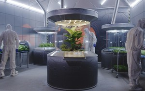 Khu vườn trên Sao Hỏa: Triển vọng về hệ thống canh tác khép kín