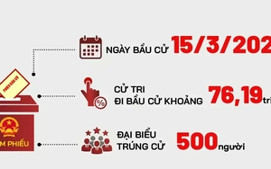 Toàn cảnh cơ cấu 500 đại biểu Quốc hội khóa XVI