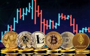 Cựu cán bộ trường đại học chiếm đoạt 11 tỷ đồng của cháu họ rồi 'nướng' vào sàn Forex