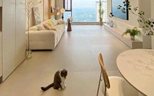 Bất chấp mọi lời khuyên, tôi vẫn lát gạch 600×1200mm cho phòng khách và sau khi ở 6 tháng, đây là điều tôi muốn nói thật