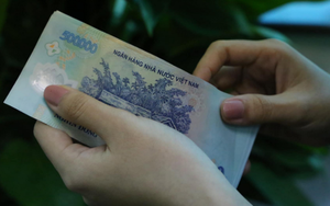 Người mẹ từng biến mất suốt tuổi thơ nay lại quay về, vin vào những khổ sở trong quá khứ để liên tục xin tiền vợ tôi