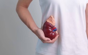 7 thói quen gây hại thận mỗi ngày