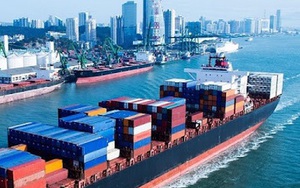 Việt Nam liên tục đón tin vui từ Mỹ và Nhật Bản