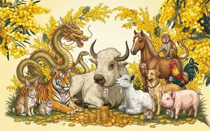 2 con giáp sắp bước vào thời kỳ đỉnh cao đầu tiên của năm Bính Ngọ, tiền bạc đủ đầy, 1 con giáp thận trọng