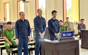 Cựu Chủ tịch, Tổng Giám đốc Công ty CP Xây dựng hạ tầng KCN Cần Thơ lĩnh án