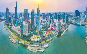 PGS.TS Trần Đình Thiên: Rất gấp, Việt Nam phải làm ngay điều này để thành công như Nhật Bản, Hàn Quốc và Singapore