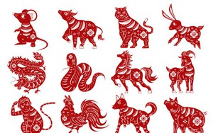 3 tuần nữa sẽ có 2 con giáp chia tay vận xui, bước vào thời kỳ thuận lợi, 1 con giáp lại cần thận trọng