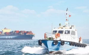 Tàu biển mang cờ Việt Nam được giảm phí vận tải