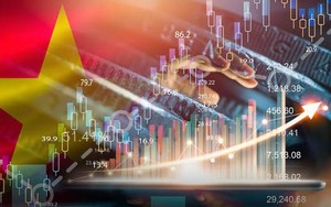 Không phải Thái Lan, Việt Nam mới là 'điểm đến số 1' của dòng tiền châu Âu: Lý do nằm ở lợi thế then chốt