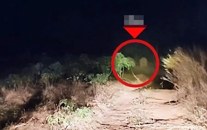 Sau tiếng rống xé toang màn đêm, con thú khổng lồ khoảng 3 tấn lao thẳng vào nhà dân: Cảnh tượng ám ảnh