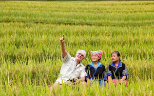 Không phải Bali hay Nhật Bản, Việt Nam "cứu rỗi" khách Tây theo cách chẳng ai ngờ tới