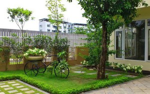 5 loại cây đừng trồng trước cửa nhà