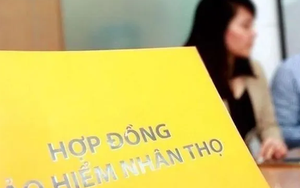 Mất trắng quyền lợi 200 triệu bảo hiểm nhân thọ vì chậm đóng phí 4 tháng: Người phụ nữ kiện công ty bảo hiểm vì đột nhiên nhân viên không đến nhà thu phí