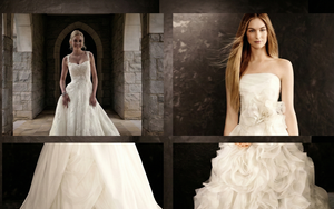 Hoa nở muộn: Làm trái nghề, trượt chức tổng biên tập, người phụ nữ vẫn sở hữu 7100 tỉ tính từ tuổi 40