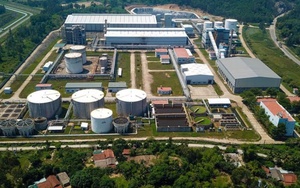 Xăng E10 mở 'cơ hội vàng' cho nông nghiệp và kinh tế tuần hoàn