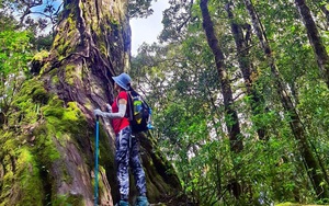 Vườn quốc gia Bidoup - Núi Bà: 'Lá phổi xanh' của cao nguyên Lâm Đồng