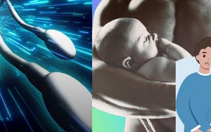 TikTok dậy sóng trào lưu “tối ưu tinh trùng”: Ám ảnh vô sinh khiến đàn ông trẻ lao vào đủ chiêu kỳ lạ