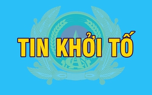 Khởi tố Chủ tịch, Tổng Giám đốc, Giám đốc, Kế toán, Trưởng phòng, đăng kiểm viên, cán bộ thú y, môi trường...