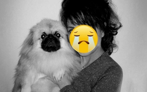 Nữ diễn viên 2 năm trước ngã chấn thương sọ não, nay đột ngột qua đời vì biến chứng viêm phổi