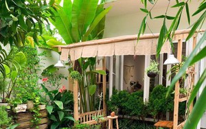 3 loại cây đừng trồng sau nhà