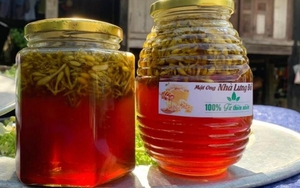 Nên uống hoa đu đủ đực ngâm mật ong lúc nào?