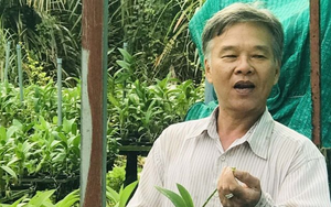 Kỳ lạ vườn cây "không có ngày nghỉ" ở TP HCM: Lão nông chỉ cần chạm màn hình mang về doanh thu 2 tỷ đồng/năm