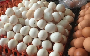 Mua trứng: Nên chọn quả to hay quả nhỏ? Người chăn nuôi tiết lộ đáp án