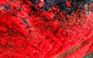 Cảnh tượng lạ trên một dòng sông ở Việt Nam: Tảng đá bỗng đỏ rực như "nở hoa", chính quyền nói gì?