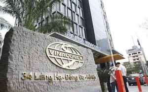 Vinaconex làm ăn ra sao dưới thời cựu Chủ tịch Nguyễn Hữu Tới vừa bị bắt?