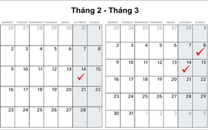 Lịch tháng 2 và tháng 3 năm nay giống nhau đến khó tin: Chuyên gia lý giải điều gì đang xảy ra