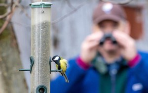 Lợi ích bất ngờ của việc ngắm chim