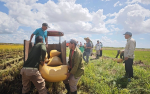 Cuba lần đầu "mở cửa" sâu cho doanh nghiệp Việt Nam: Một dự án nhỏ trở thành hình mẫu, điều gì đang diễn ra?