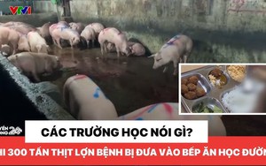 Nguy cơ kép từ 300 tấn thịt lợn bệnh - trẻ em chịu ảnh hưởng nặng nề nhất!