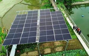 Bỏ tiền lắp thứ này trong vườn nhà, người đàn ông Lào Cai giảm 90% hóa đơn điện