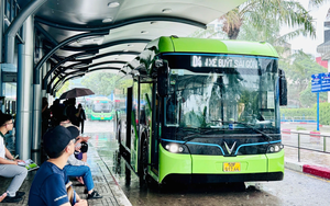 Đề xuất 3 phương án miễn phí xe buýt cho người dân TP.HCM