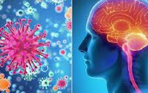 Cà Mau ghi nhận 3 trường hợp nghi viêm não mô cầu, 1 người tử vong