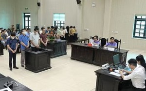 35 bị cáo đưa, nhận hối lộ trong cung cấp thực phẩm cho các trường mầm non